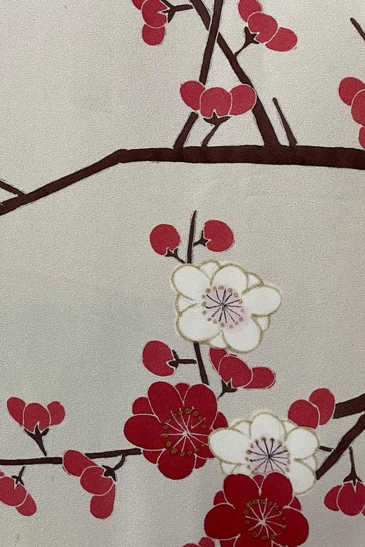 Kyoto: Traditional Yuzen Dyeing Experience - Who should book this Kyoto activity?