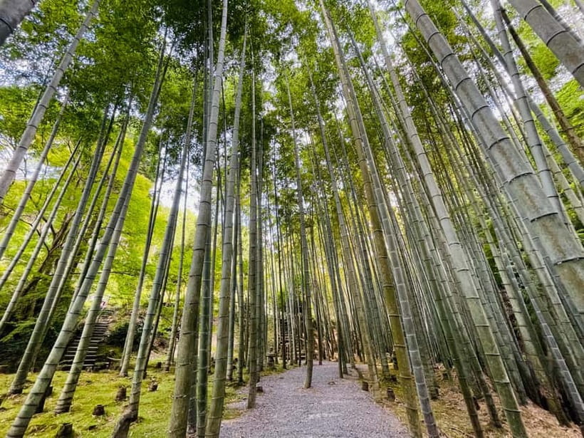 Kyoto : True Kyoto Avoid the crowds E-Bike Tour - Why this ride reaches a quieter Kyoto
