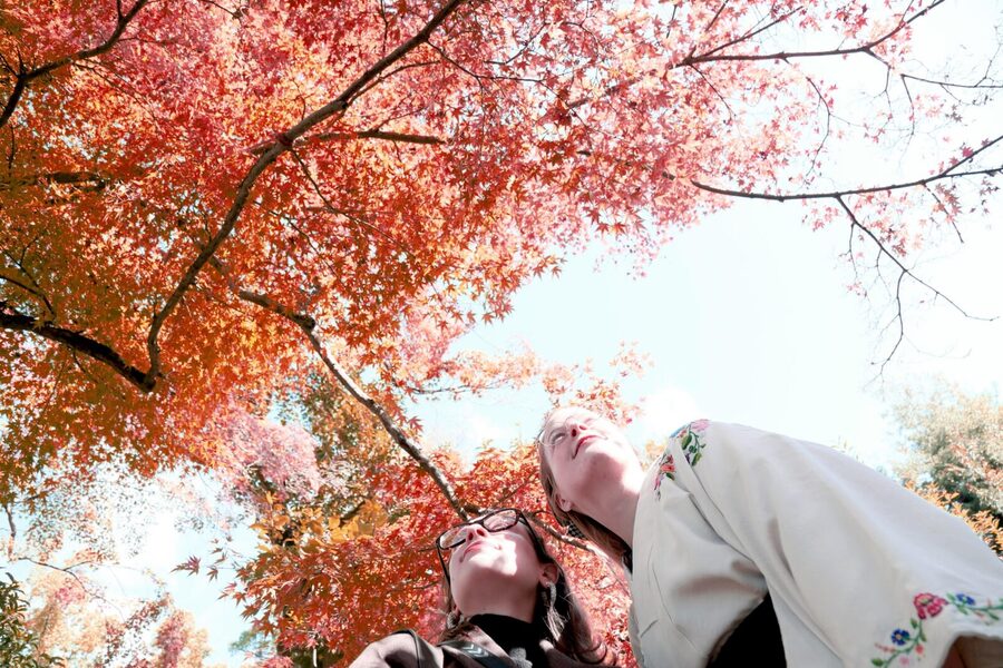 Kyoto: Try Nishijin Weaving in the Oldest Geisha District - Is $131 a fair price?