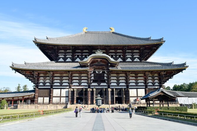 Kyoto Uji and Nara Tour with Sushi Making Experience - Brewing Matcha in Uji