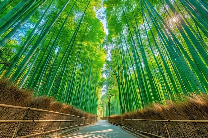 Kyoto & Uji: Full Day Sightseeing Tour from Osaka or Kyoto - Crossing to Uji and the Uji River