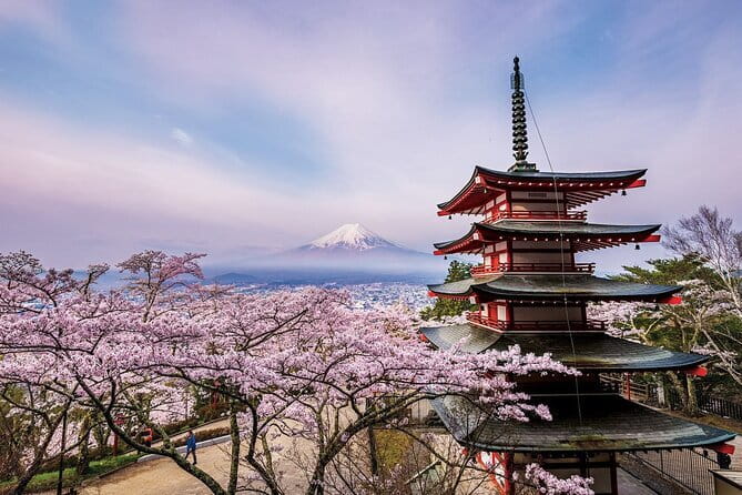 Kyoto Uncovered: One Full-Day Private Experience for First-Timers - Nishiki Market, Kyoto’s food corridor