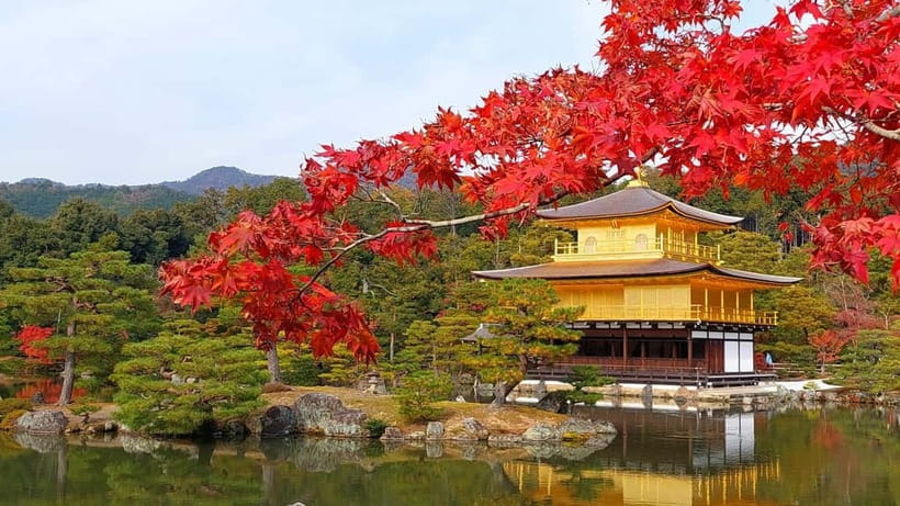 Kyoto UNESCO World Heritage Sites 1d Tour from Osaka/Kyoto - Key points to know before booking