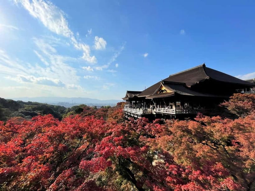 Kyoto UNESCO World Heritage Sites 1d Tour from Osaka/Kyoto - Arashiyama, bamboo, bridges, and more