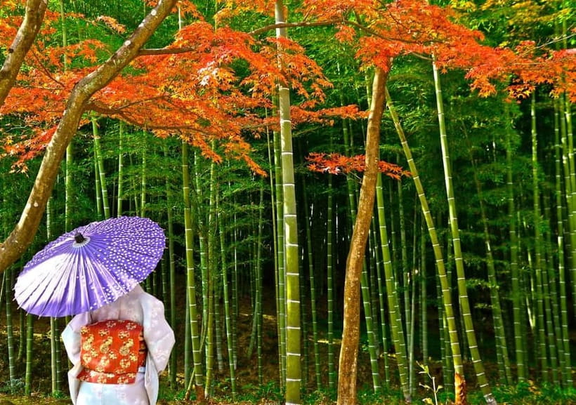 Kyoto UNESCO World Heritage Sites 1d Tour from Osaka/Kyoto - Kinkaku-ji, Kyoto’s gold-covered icon