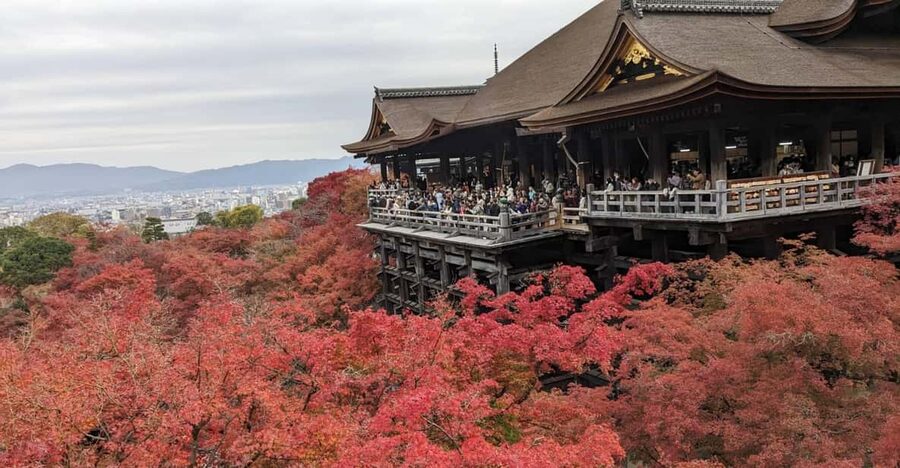 Kyoto: Walking tour Kiyomizu, Geisha District with a Local - Key points to know before booking