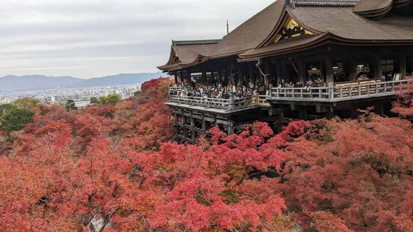 Kyoto: Walking tour Kiyomizu, Geisha District with a Local - Starting at Shijo Bridge with a clear meeting point