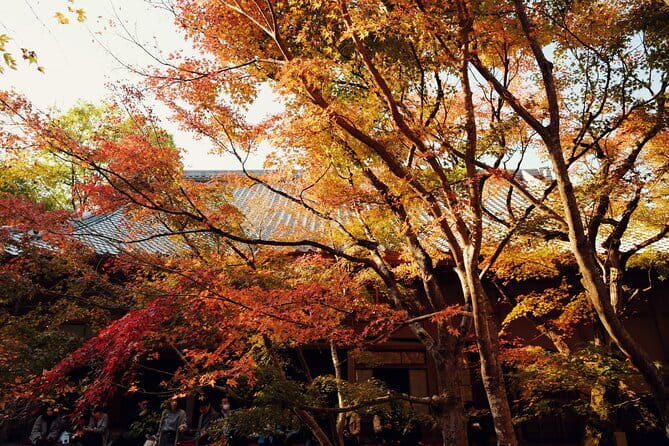 Luxury Classic Kyoto Day Tour - Private Customized Car Tour - Is $743.21 Per Person a Fair Price?