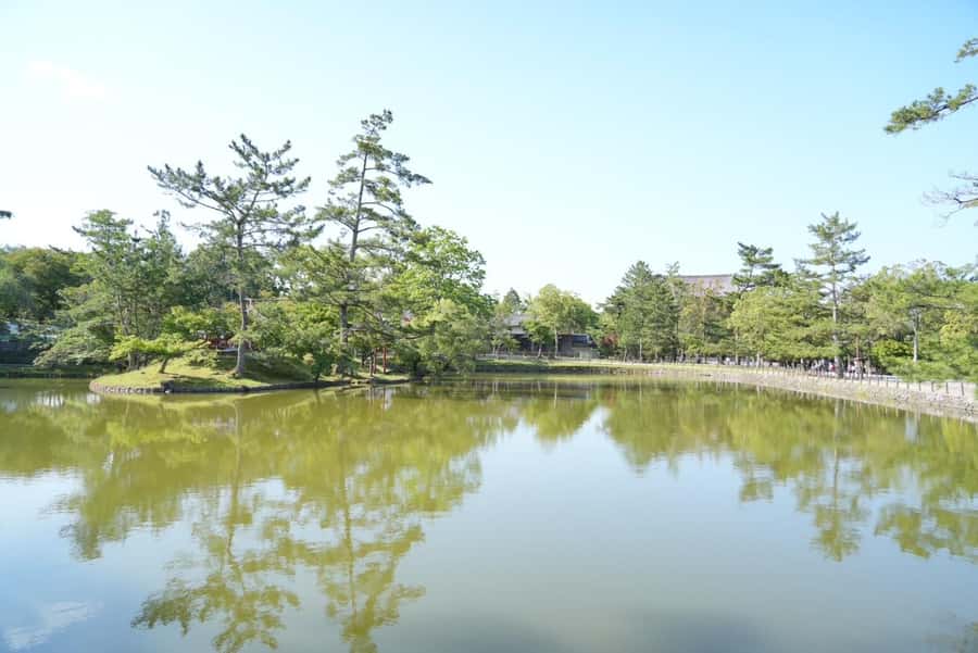 Nara Early Bird Tour (Kyoto Departure Option Available) - The early start is the real attraction