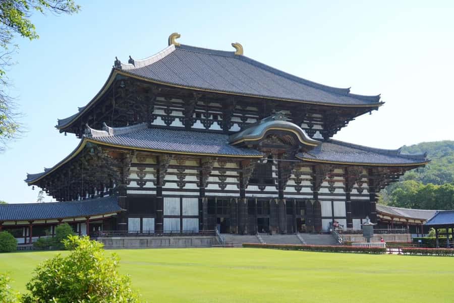 Nara Early Bird Tour (Kyoto Departure Option Available) - Why Nara is worth an early morning