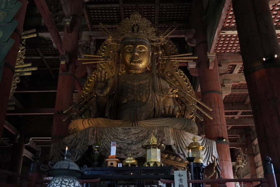 Nara Early Bird Tour (Kyoto Departure Option Available) - What the $88 price covers