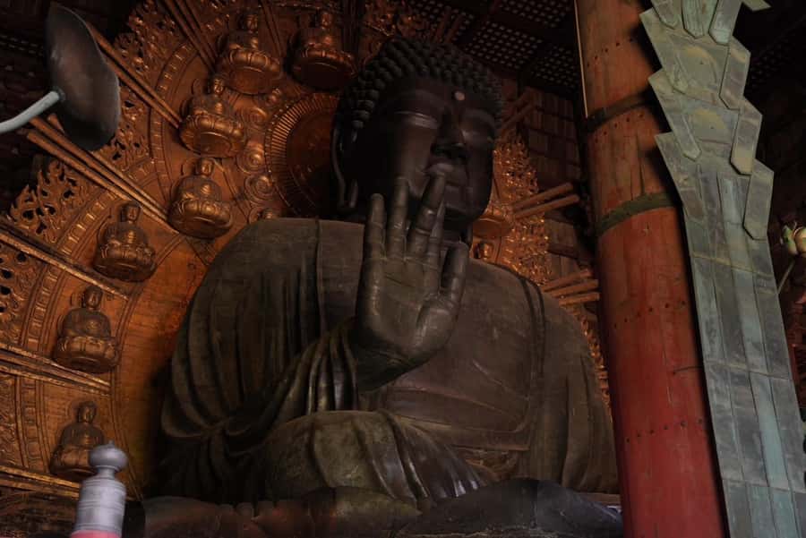 Nara Early Bird Tour (Kyoto Departure Option Available) - What to do after the tour ends