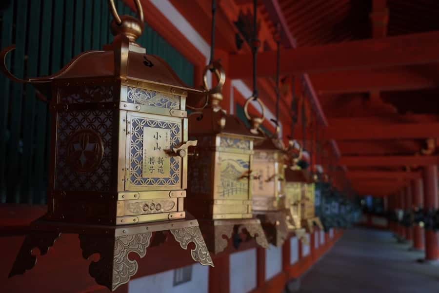 Nara Early Bird Tour (Kyoto Departure Option Available) - Starting at Kyoto Station or in Nara