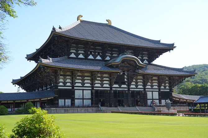 Nara Early Morning Tour (Kyoto or Osaka Departure Available) - Why the early morning timing matters in Nara