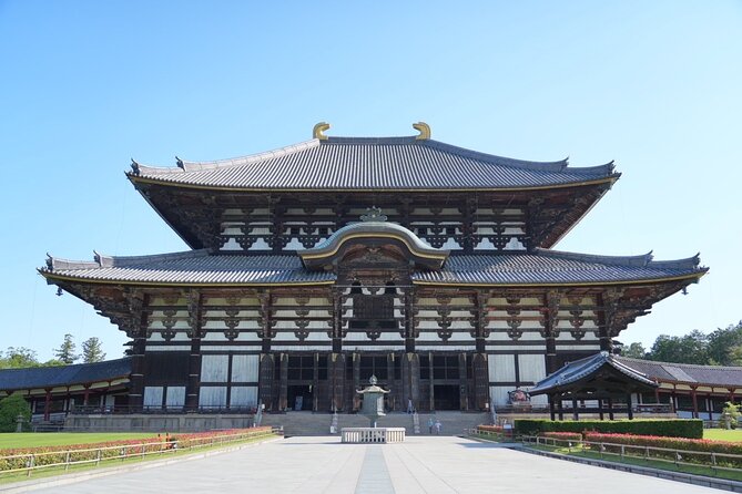 Nara Early Morning Tour (Kyoto or Osaka Departure Available) - Nara Park and the deer that bow for rice crackers