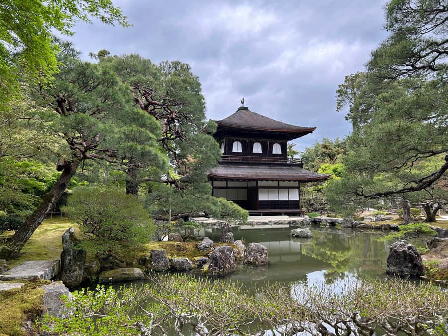 Nara Optional:Kyoto Private Car Tour with Japanese Navigator - Is $133 per person a fair price?
