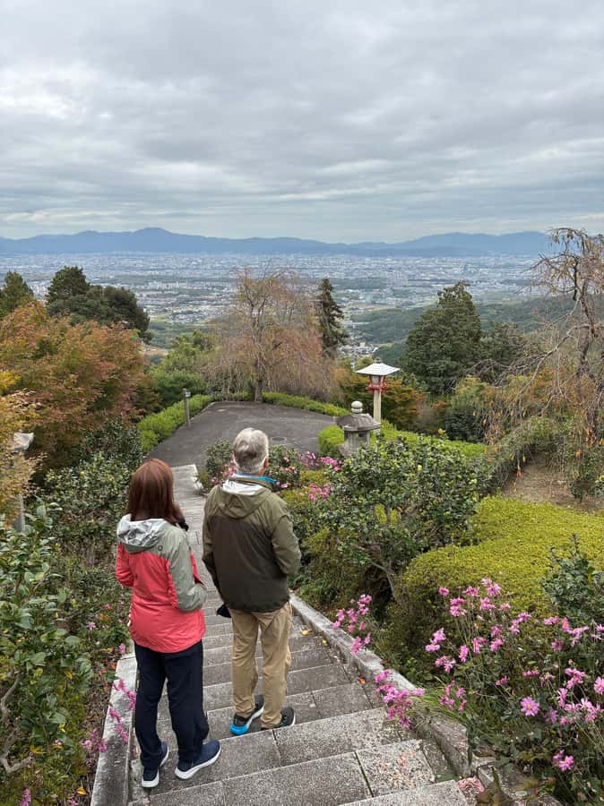 Nara Optional:Kyoto Private Car Tour with Japanese Navigator - A private way to make sense of Kyoto