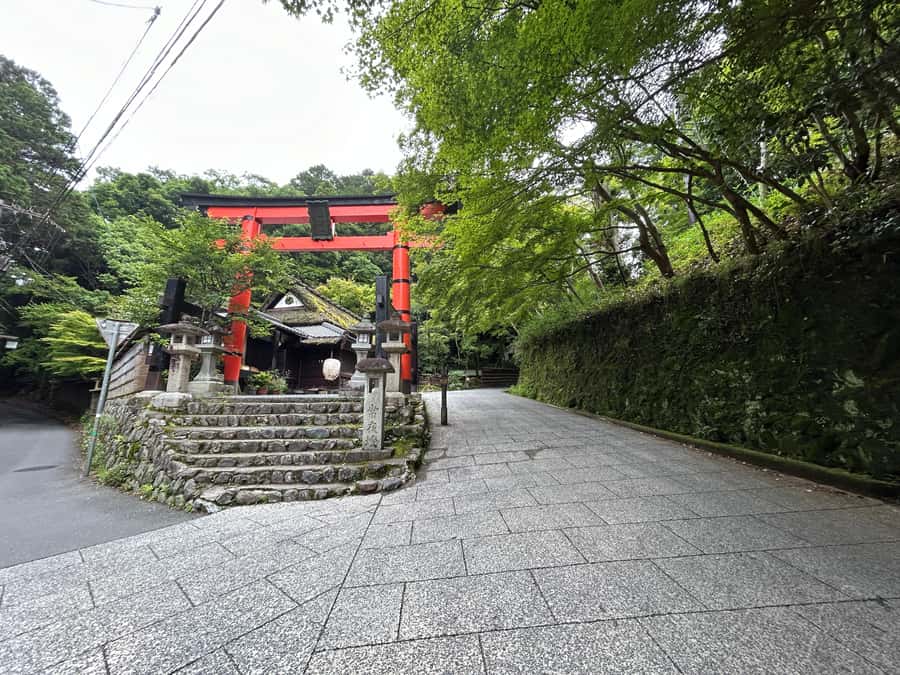 Nara Optional:Kyoto Private Car Tour with Japanese Navigator - Arashiyama needs more than a quick photo stop