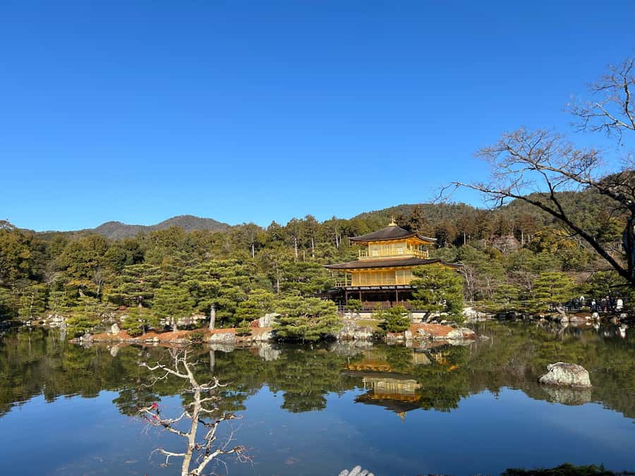Nara Optional:Kyoto Private Car Tour with Japanese Navigator - How the guide changes the experience