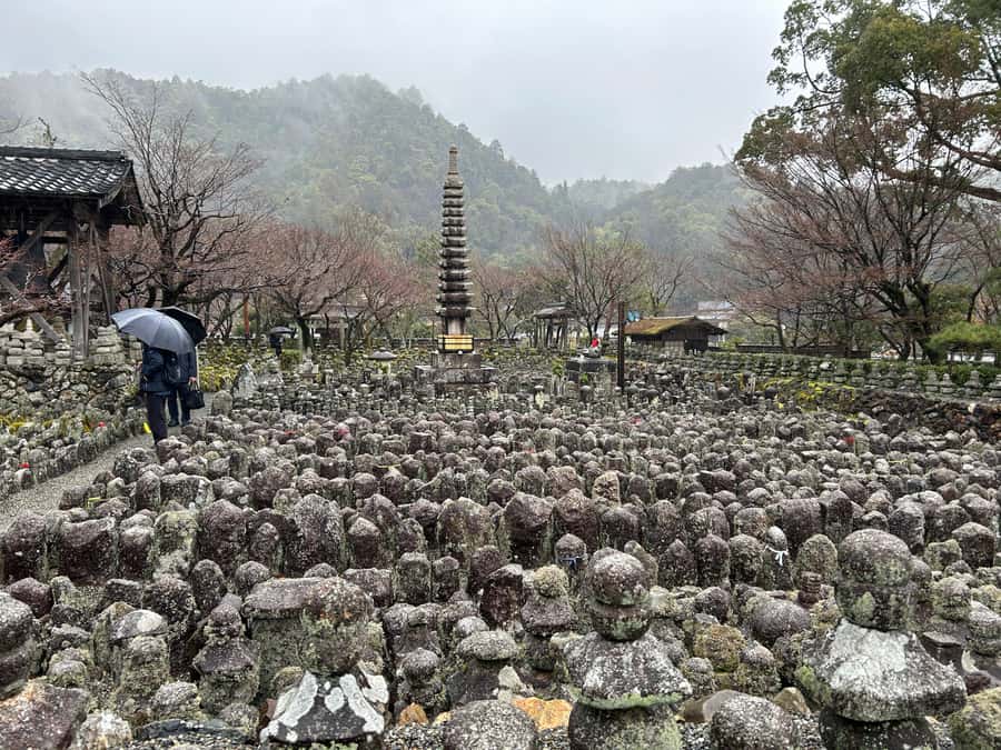 Nara Optional:Kyoto Private Car Tour with Japanese Navigator - The car, comfort, and group-size limits