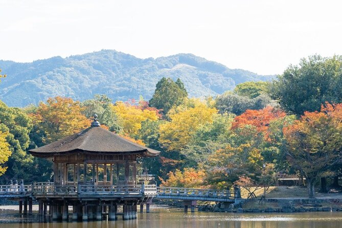 Nara : Private Day Walking Tour (From Osaka/Kyoto Possible) - Walking, timing, and extra costs