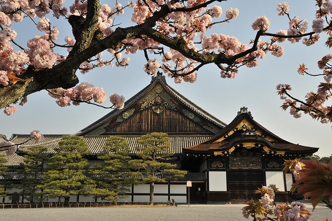 Nijo Castle Samurai Inside Story — Top-Rated Guide (Max 8) - Practical details that affect your day