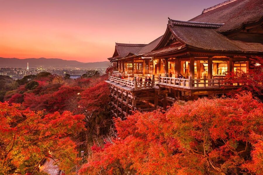 One Day Private Customized Self-Guided Tour in Kyoto - Why the private transport can save your day