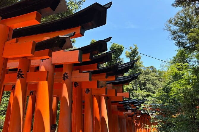 One Day Private Tour in Kyoto and Nara From Osaka - A full Kyoto and Nara day from Osaka