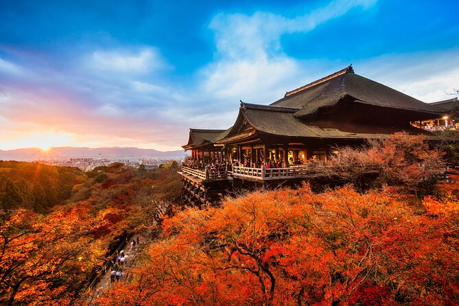 One-Day Tour of Kyoto's Highlights from Osaka/Kyoto - Arashiyama’s bamboo and Togetsukyo Bridge