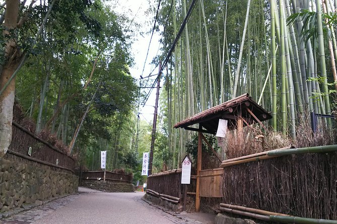 One-Day Walking Tour : Enjoy Kyoto to the fullest! - Why the Private Guide Makes a Difference