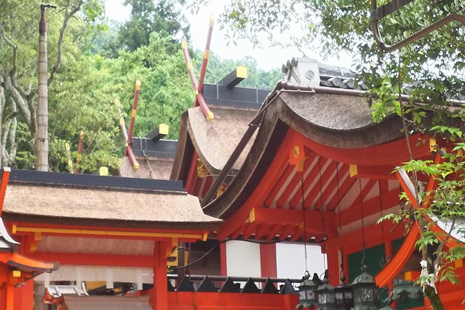 One-Day Walking Tour of Amazing 8th Century Capital Nara - What the private format really gives you