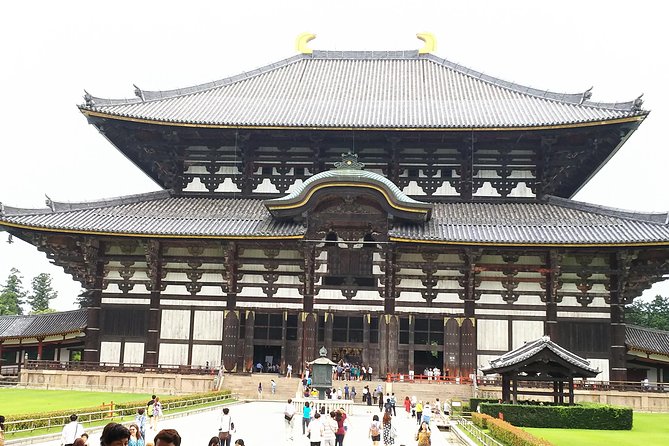 One-Day Walking Tour of Amazing 8th Century Capital Nara - Kasuga Grand Shrine: lanterns, lineage, and ritual