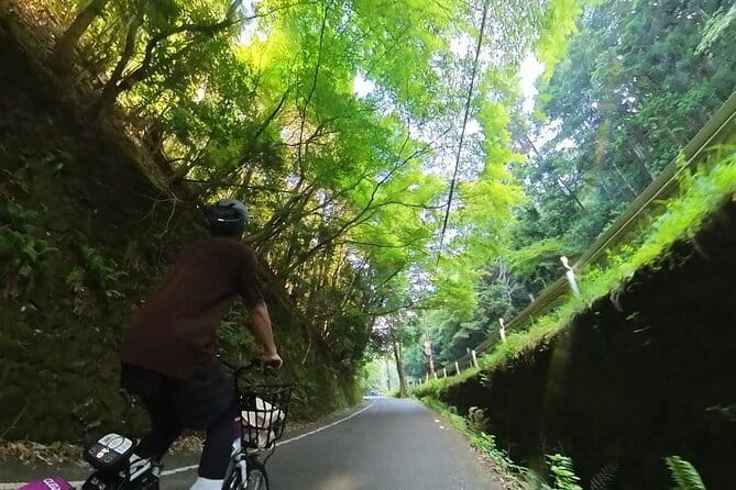 ONLY YOU in the Bamboo Forest! 4 hours E-bike tour with a local - Meeting Yuki at Arashiyama Station