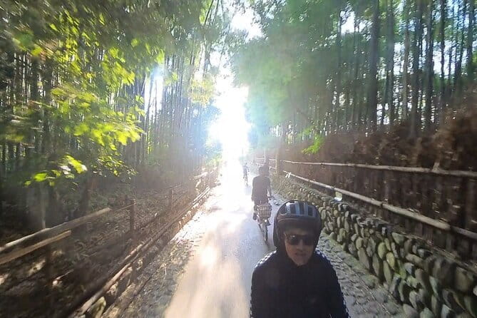 ONLY YOU in the Bamboo Forest! 4 hours E-bike tour with a local - Tenryu-ji, Arashiyama’s major temple stop