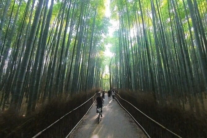 ONLY YOU in the Bamboo Forest! 4 hours E-bike tour with a local - Riding through Arashiyama Bamboo Forest