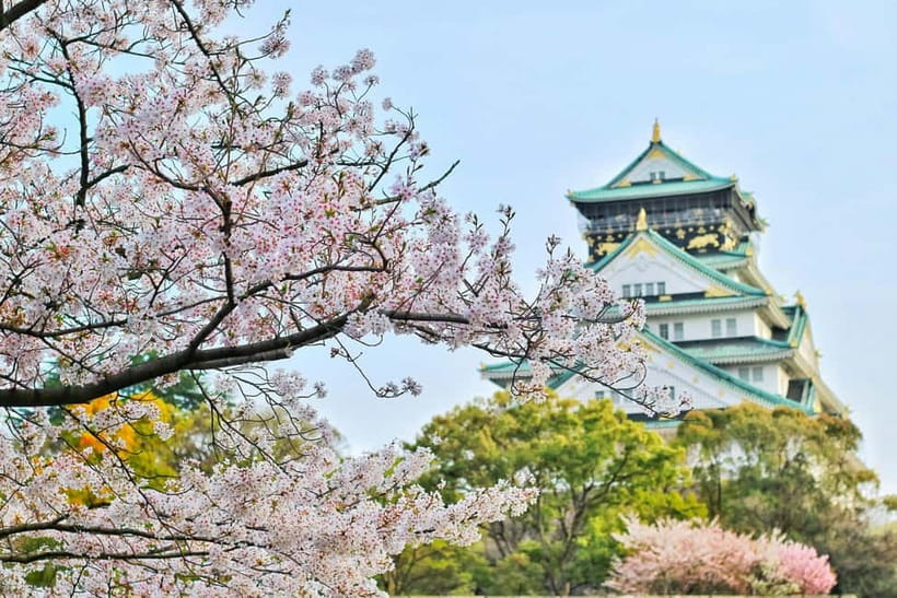 Osaka: Kyoto and Nara Private Day Trip - The driver can make or break the day