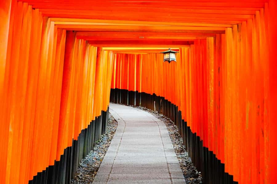 Osaka/Kyoto: Arashiyama, Nara & Fushimi Inari Shrine w/Lunch - Nara Park and Todai-ji: deer, etiquette, and a giant Buddha