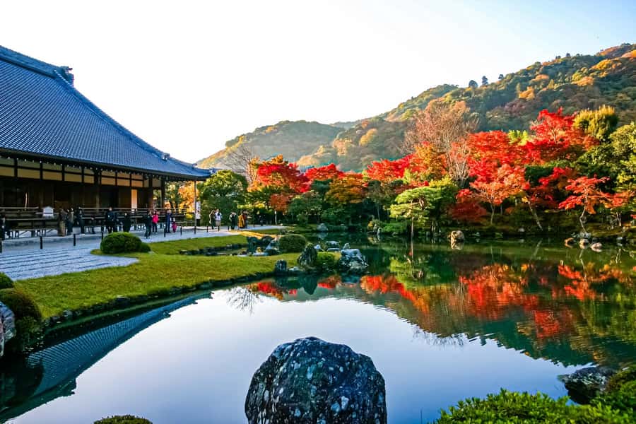 Osaka/Kyoto: Arashiyama, Nara & Fushimi Inari Shrine w/Lunch - Why the bus matters on a nine-hour schedule