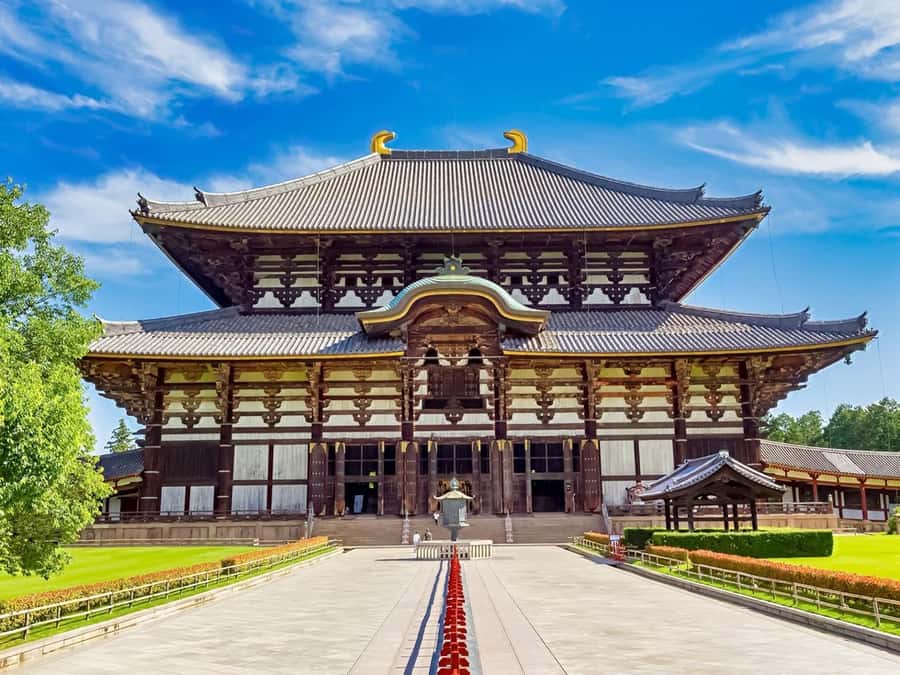 Osaka/Kyoto: Arashiyama, Nara & Fushimi Inari Shrine w/Lunch - Small details that make the day easier