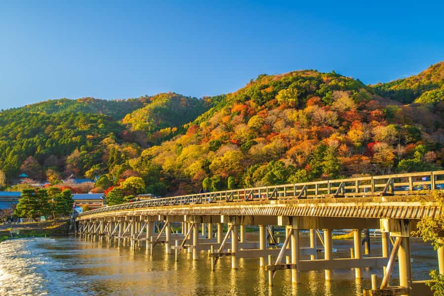 Osaka/Kyoto: Arashiyama, Nara & Fushimi Inari Shrine w/Lunch - Should you book it?