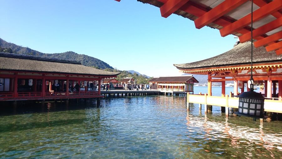 Osaka/Kyoto: Hiroshima Miyajima Bus Tour & Shinkansen Ticket - From Osaka or Kyoto to Hiroshima by Shinkansen