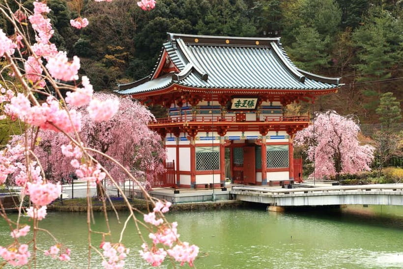 Osaka/Kyoto: Katsuoji, Kinkakuji, Arashiyama 1-Day Bus Tour - Key points at a glance