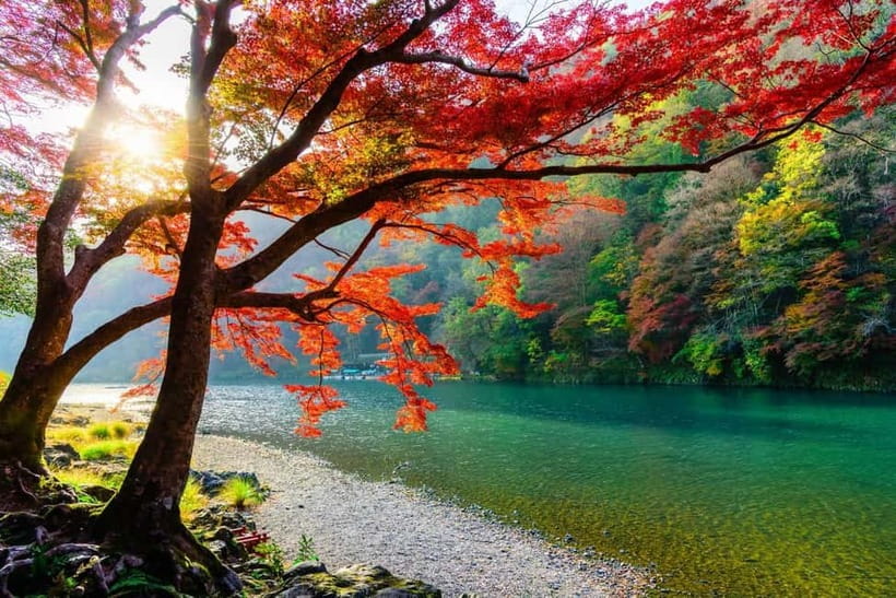 Osaka/Kyoto: Katsuoji, Kinkakuji, Arashiyama 1-Day Bus Tour - Togetsukyo Bridge and the old Kyoto view
