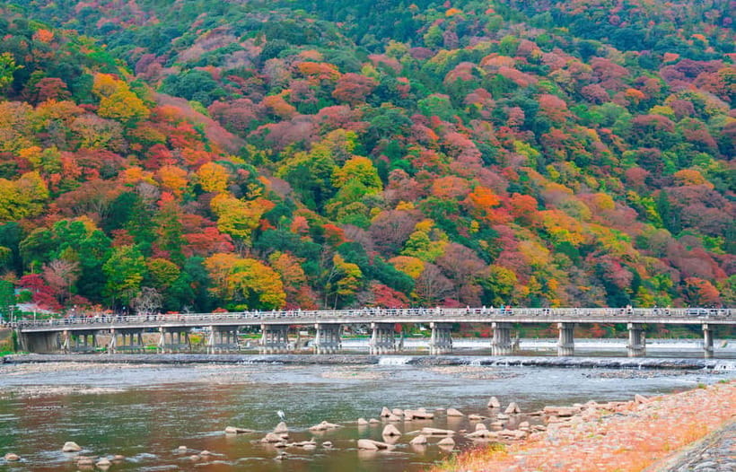 Osaka/Kyoto: Katsuoji, Kinkakuji, Arashiyama 1-Day Bus Tour - Kimono Forest and Nonomiya Shrine
