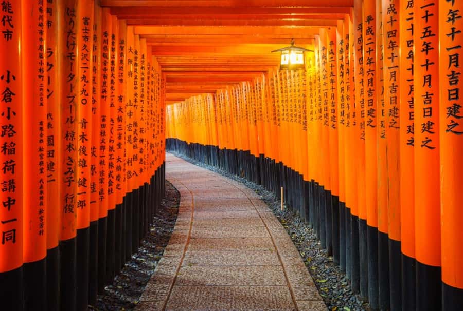 Osaka/Kyoto:Kinkakuji,Arashiyama,FushimiInariShrine,NaraPark - At a Glance