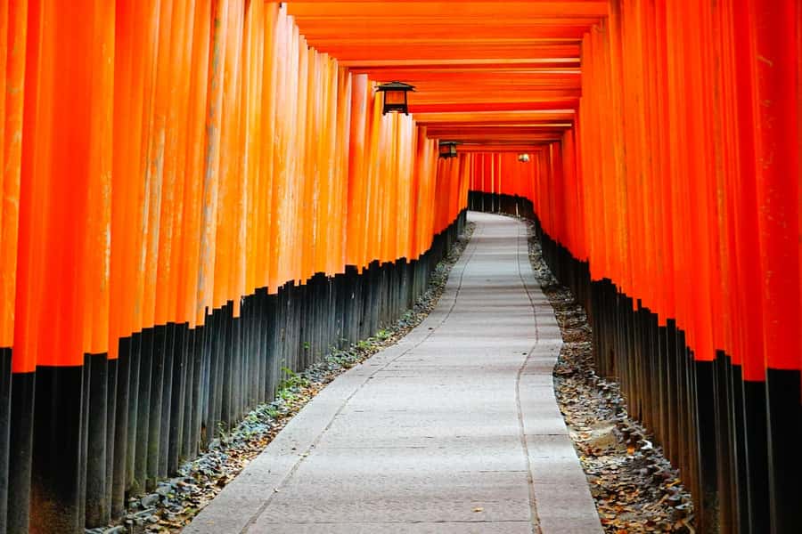Osaka/Kyoto:Kinkakuji,Arashiyama,FushimiInariShrine,NaraPark - Why This Day Works for First-Time Visitors
