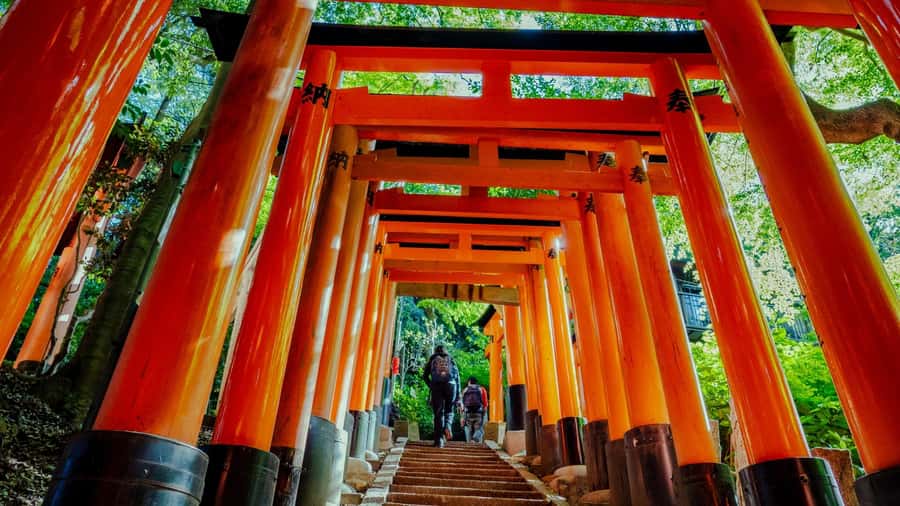 Osaka/Kyoto:Kinkakuji,Arashiyama,FushimiInariShrine,NaraPark - The Optional Kobe Beef Shabu-Shabu Lunch