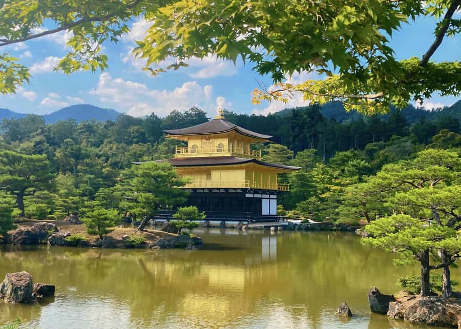 Osaka/Kyoto:Kinkakuji,Arashiyama,FushimiInariShrine,NaraPark - Fushimi Inari’s Long Red Tunnel