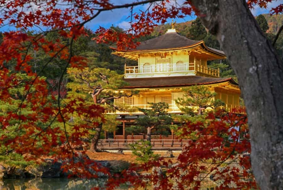 Osaka/Kyoto:Kinkakuji,Arashiyama,FushimiInariShrine,NaraPark - Timing, Transport, and the Real Cost
