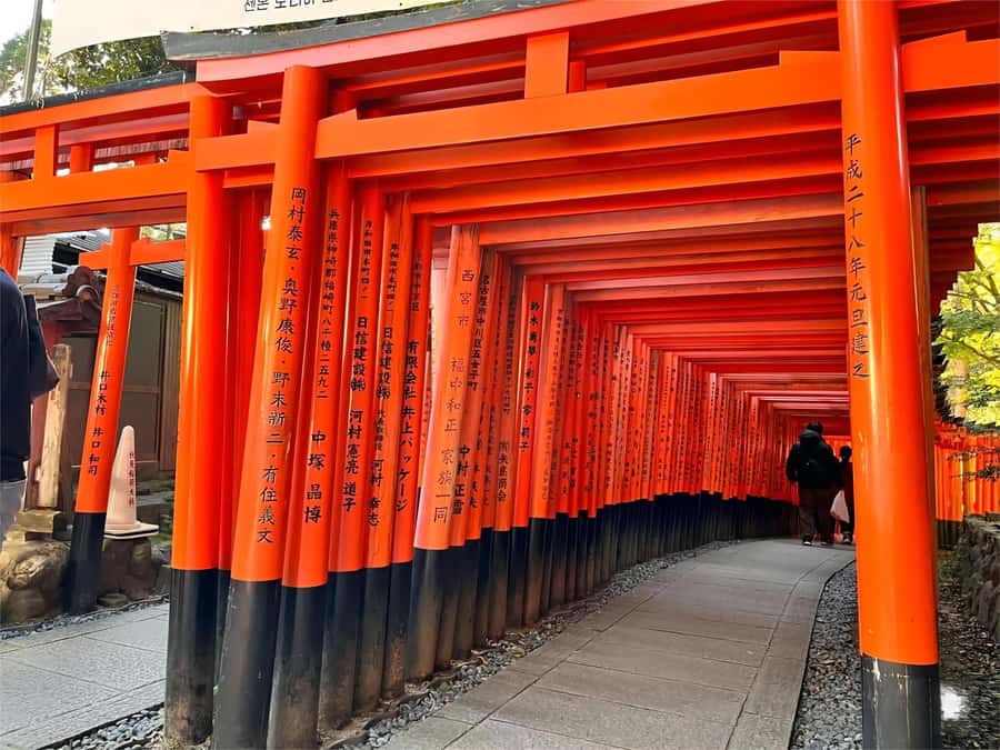 Osaka/Kyoto: Kiyomizudera Fushimi Inari, Nara Tour w/ Pickup - Should You Book This Osaka Day Trip?